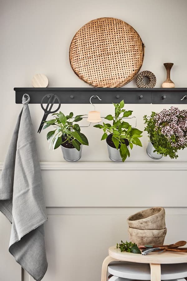 Hallway decoration with plants