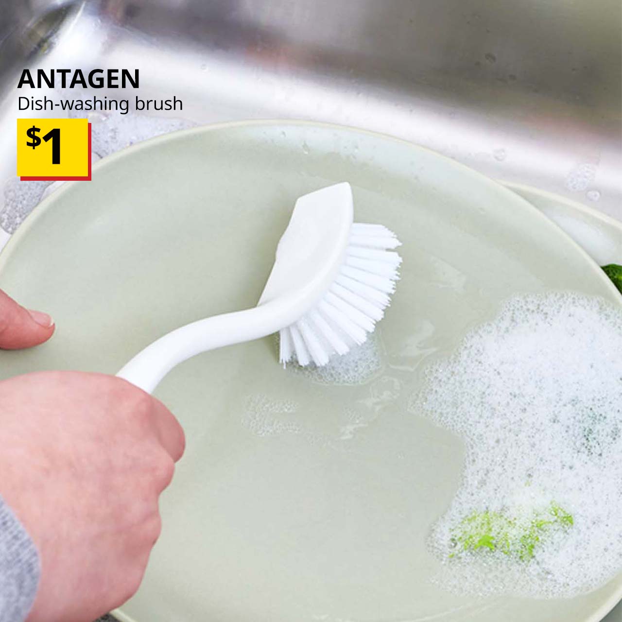 Hand holding a white ANTAGEN dish-washing brush. Price: $1.