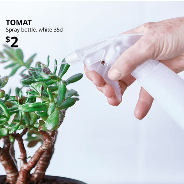 Hand holding white TOMAT spray bottle, spraying water at a plant. 