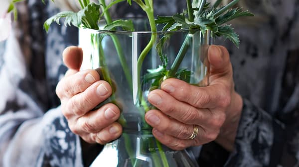 Hands wearing a gold wedding band are holding a clear glass vase with green stalks inside.