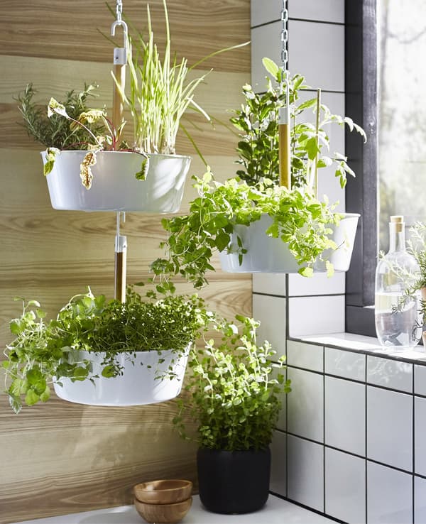 Hanging plants and plants in pots by a window in a Swedish kitchen.