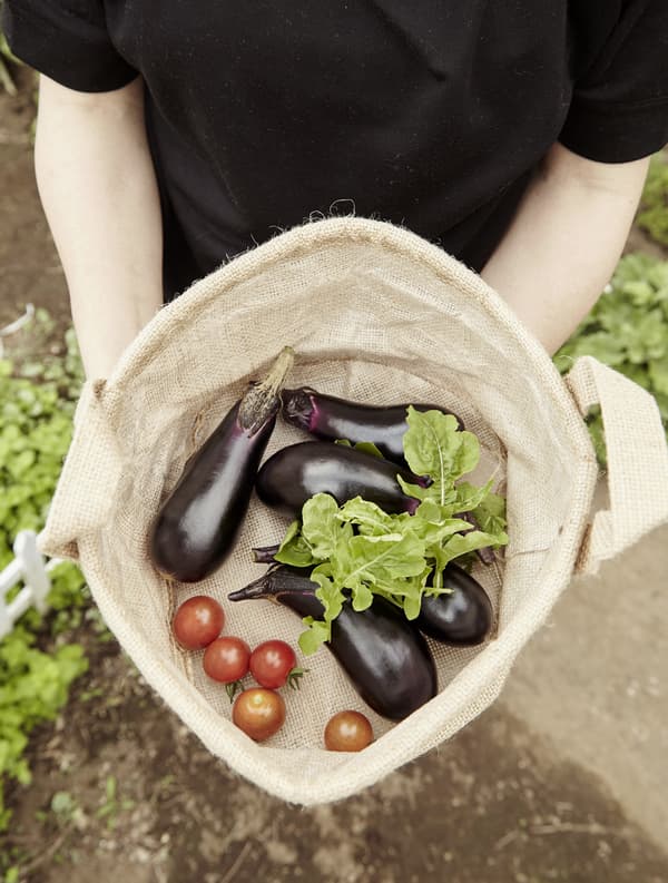 Home-grown aubergines and tomatoes