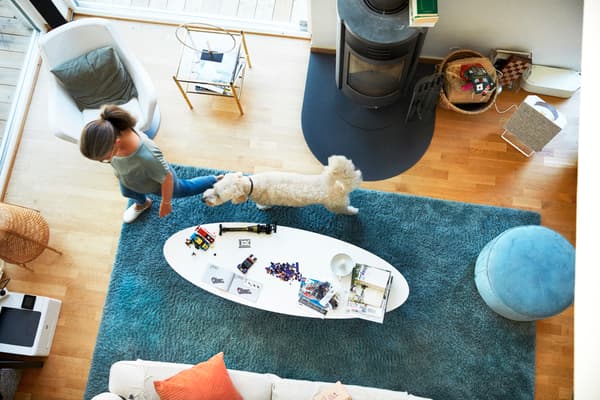 home with a pet dog