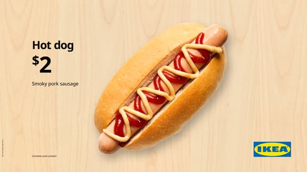 Hot dog with all the condiments