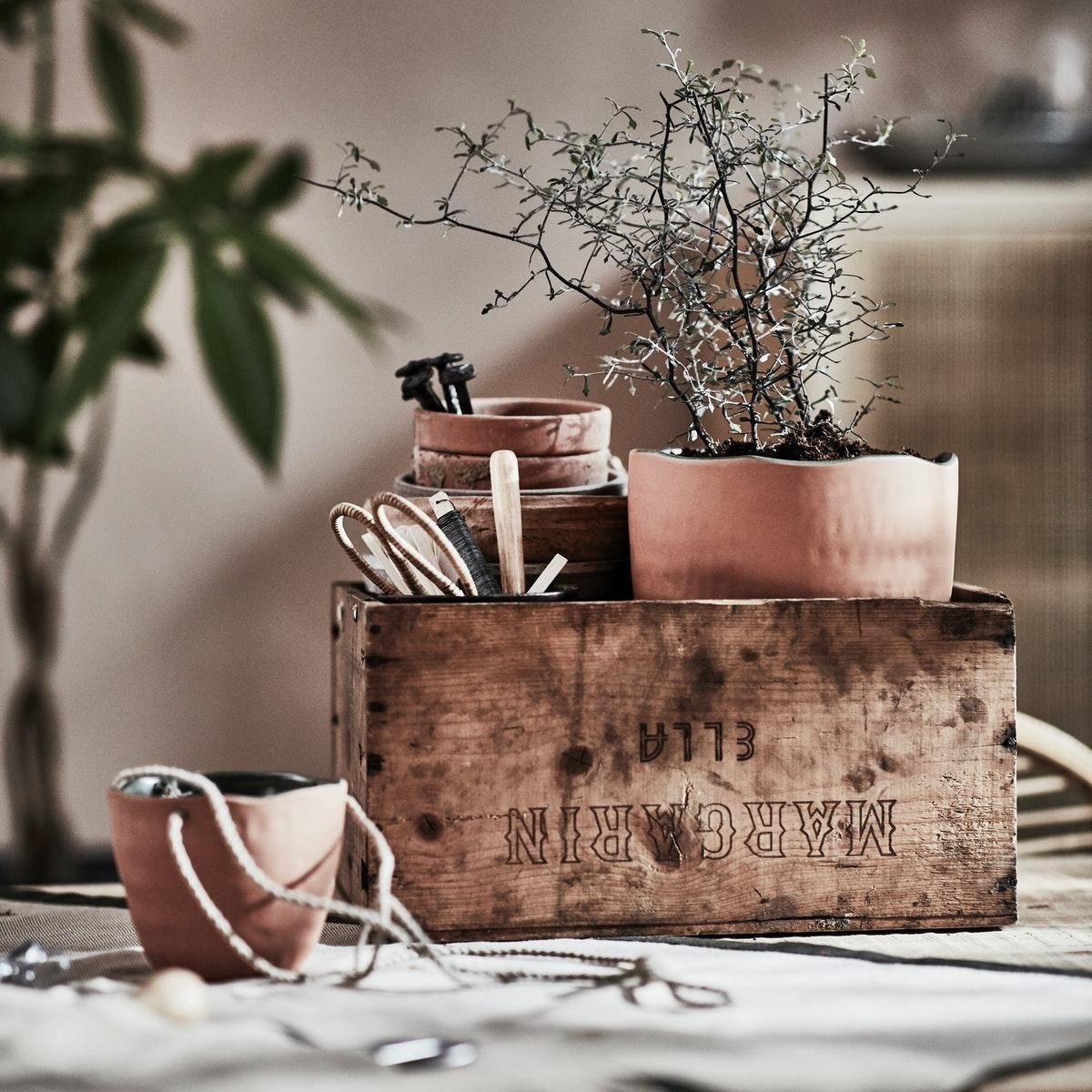 Houten kist met tuinaccessoires en kleine plant in terracotta pot, geplaatst op tafel in warme, rustieke ruimte.