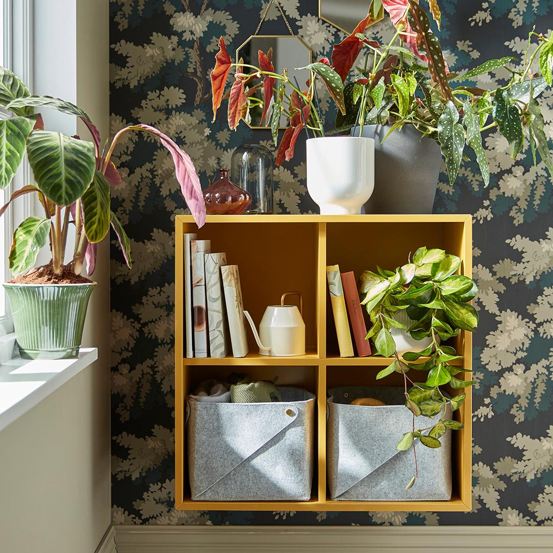 Houten wandkast met boeken, stoffen opbergmanden en groene kamerplanten tegen een decoratief behang.