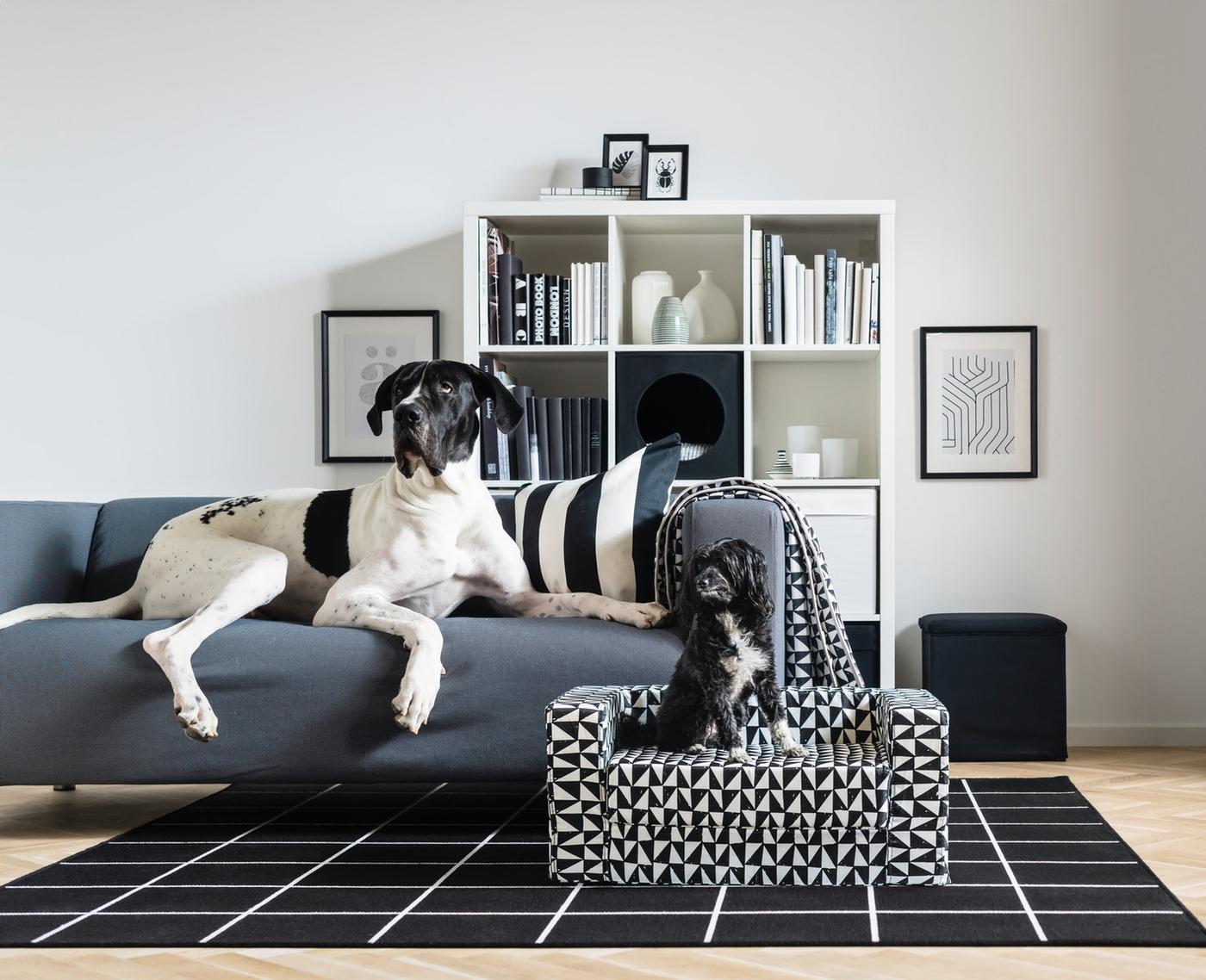 How to clean a sofa tips to make your life easier IKEA Spain