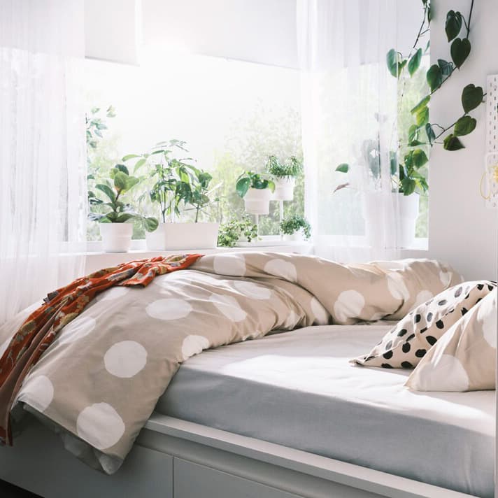 How to keep your bedroom clean and fresh.