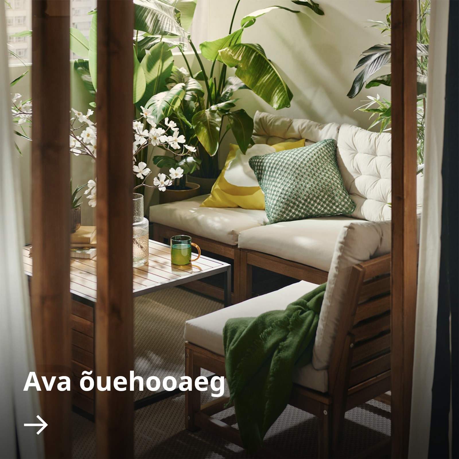 Hubane istumisala rõdul puidust mööbli, beežide patjade ja roheliste aktsentidega, mida ümbritsevad lopsakad potitaimed sooja päikesevalguse käes.