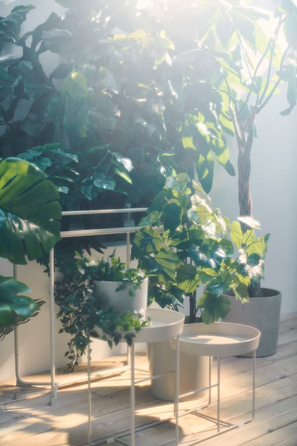 Ideas para decorar o xardín en primavera