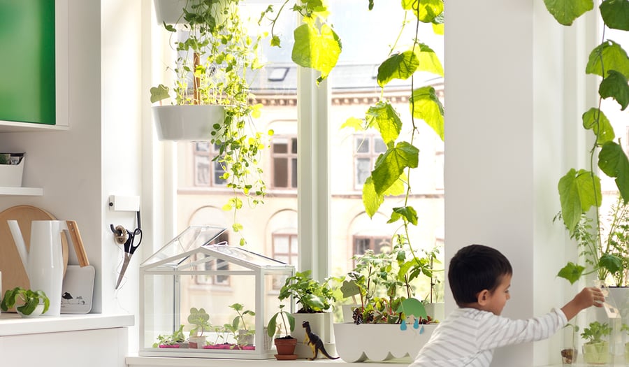 Ratgeber Indoor-Gärten: Tipps für Zimmergärten - IKEA Schweiz