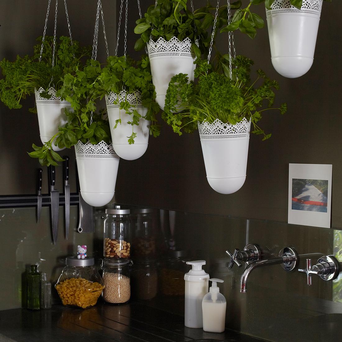 Ratgeber Indoor-Gärten: Tipps für Zimmergärten - IKEA Schweiz