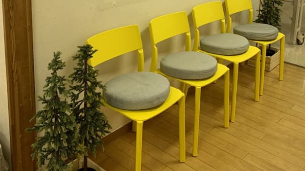 黄色い椅子が4脚並び、横に小さなもみの木が置かれている。