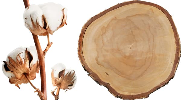 IKEA 제품을 만드는 데 가장 많이 사용되는 두 가지 지속가능한 소재인 천연 면과 목재를 보여주는 사진.