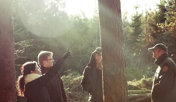 숲에서 나무가 지속가능한 방식으로 수급되고 사용되는지 확인하며 대화를 나누는 IKEA 직원들.