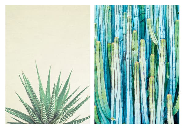 ikea botanische posters