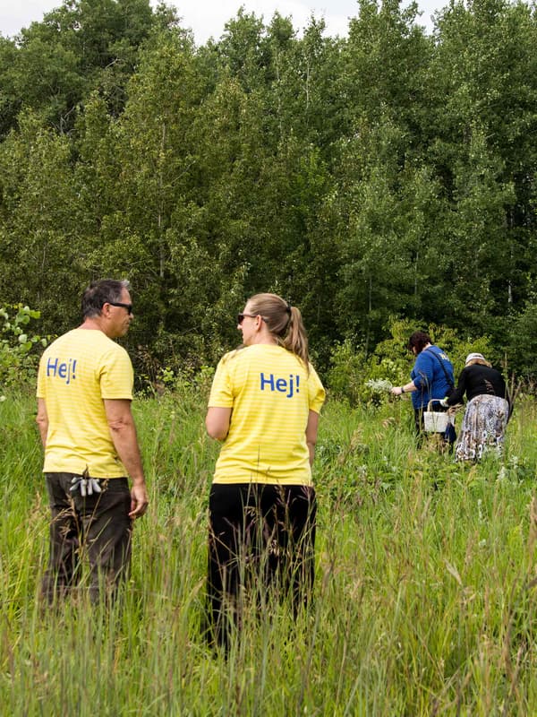 IKEA co-workers in a field during a sage-picking ceremony.