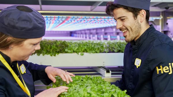 IKEA co-workers in dark blue uniforms inspect trays of lettuce.
