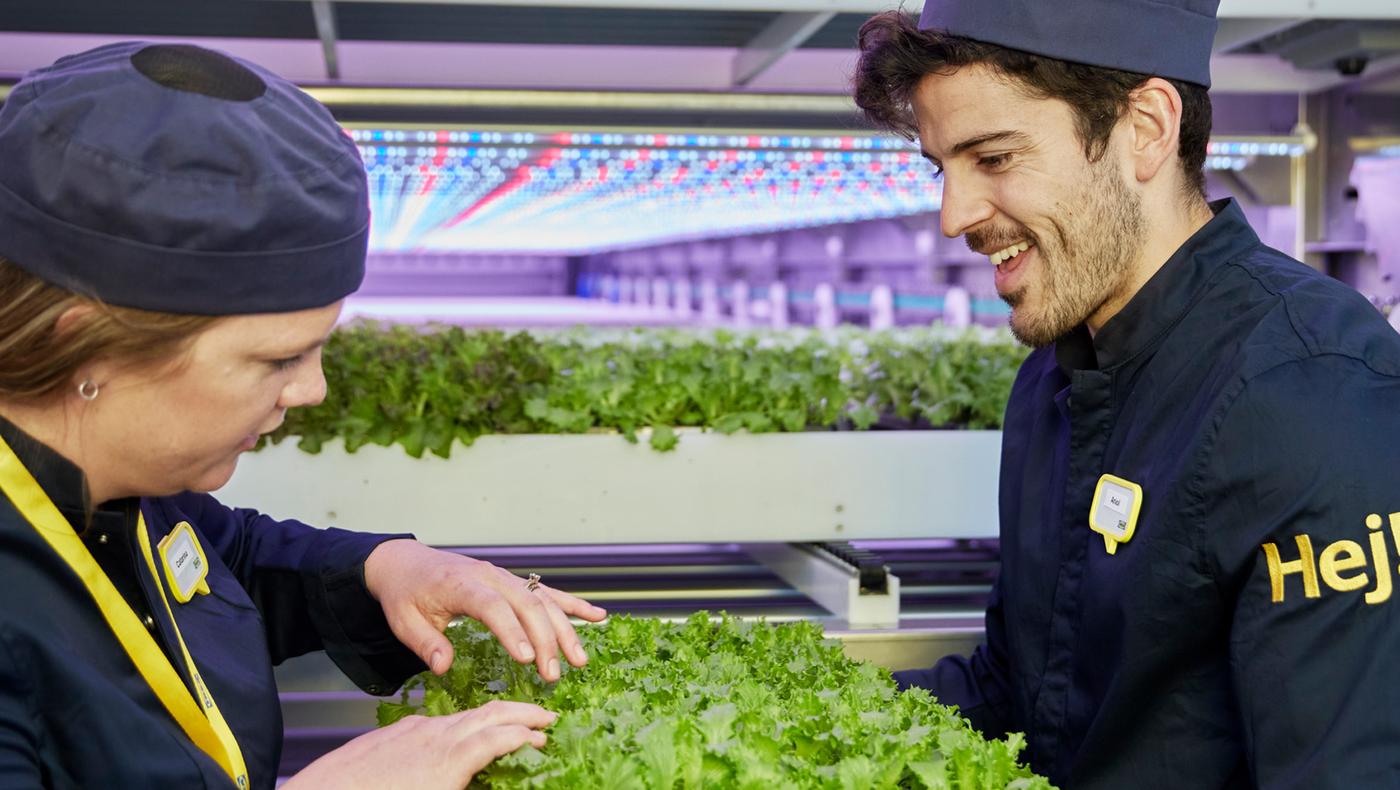 Good reasons to an IKEA coworker IKEA