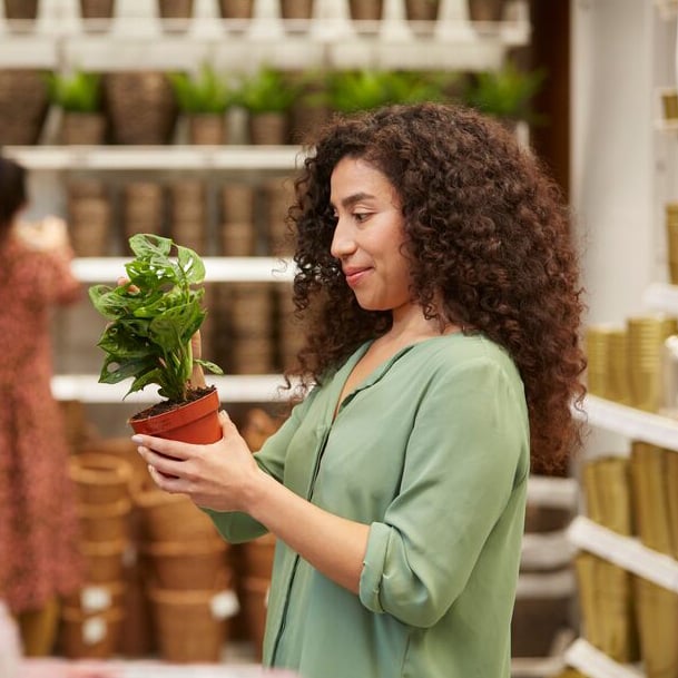 IKEA Family member shopping.