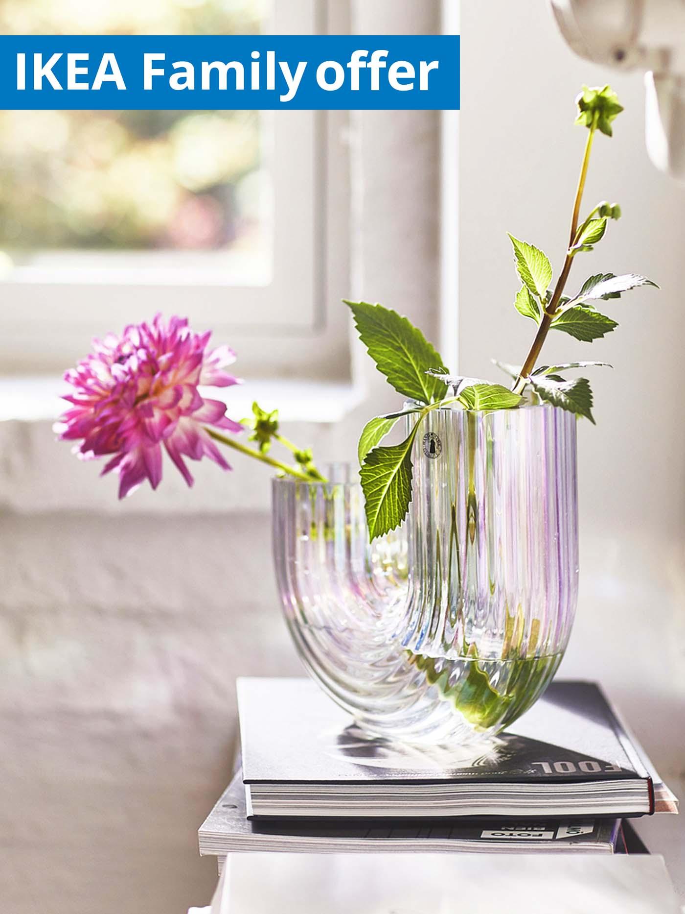 IKEA Family offer, 1-30 September 2026. Flowers in RÄFFELBJÖRK vase, mother-of-pearl colour, 12 cm.