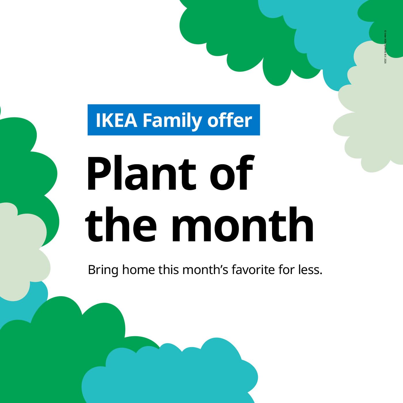 IKEA Family Offer: Plant of the Month
Bring home this month's favorite for less.