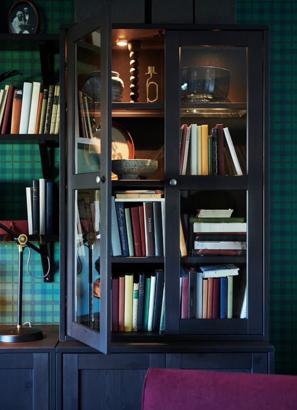 IKEA HAVSTA dark brown storage cabinet with glass shelves and integrated lighting, with one door ajar to reveal books and vases inside.