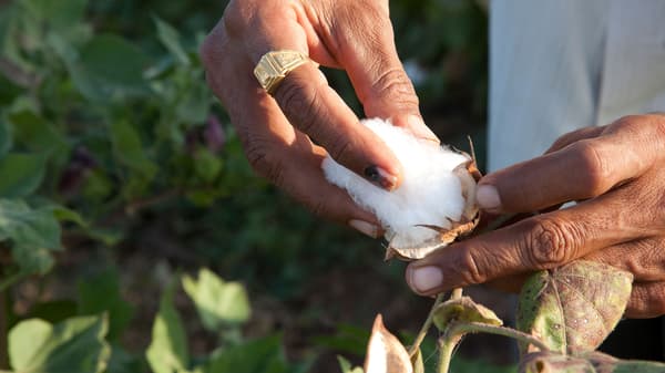 IKEA home furnishings, sustainable cotton materials