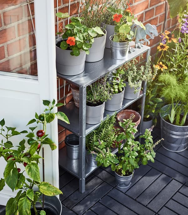 IKEA HYLLIS Shelf unit with a variety of potted plants and flowers
