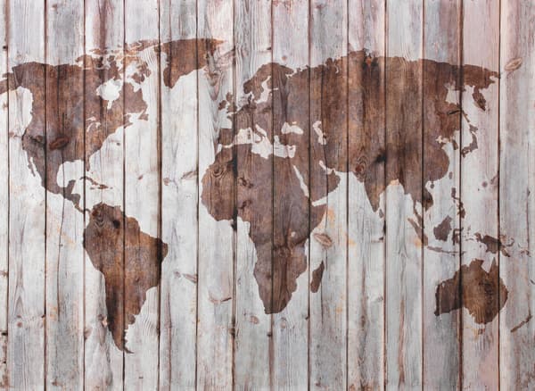 IKEA is a brand with operations all over the globe, and a large part of IKEA products are made from wood.