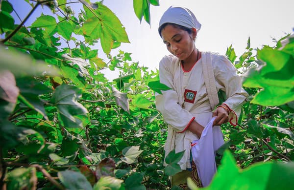 IKEA is committed to using water as efficiently as possible. Based on the WWF’s water stewardship model, we are reducing the impact of our own operations and our suppliers’ operation, supporting sustainable water management, cotton production included.