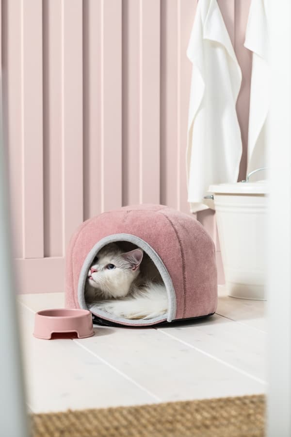 IKEA katuentzako oheak
