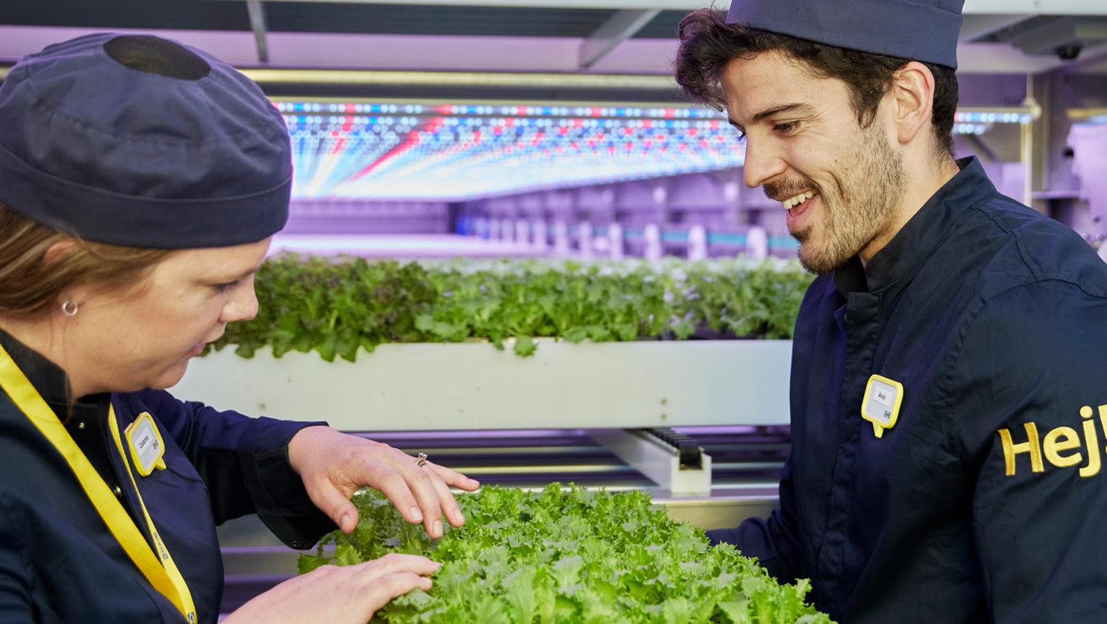 Warum bei IKEA arbeiten? IKEA Deutschland