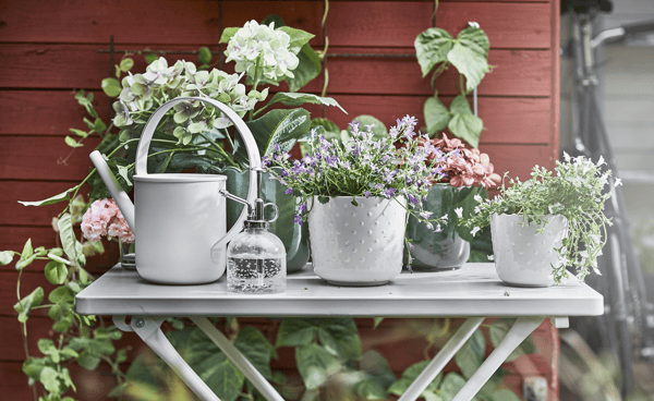 IKEA pots and a spray bottle