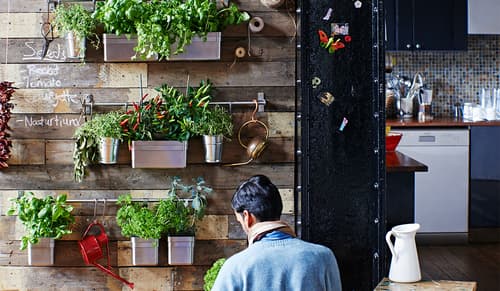 Ratgeber Indoor-Gärten: Tipps für Zimmergärten - IKEA Schweiz