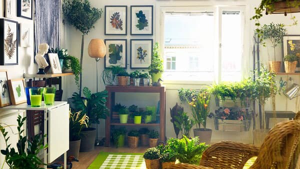 IKEA Ratgeber Wohnung neu dekorieren.