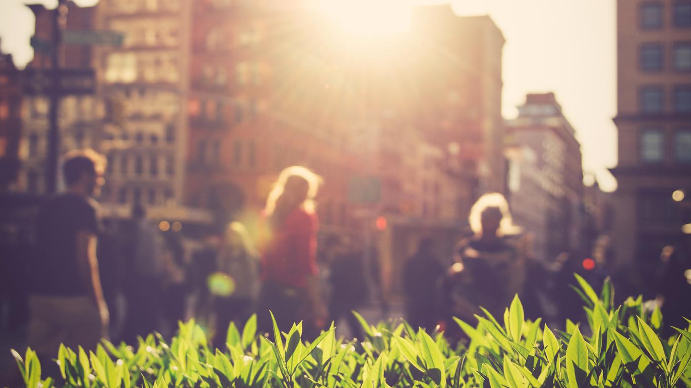 Our Sustainability Strategy