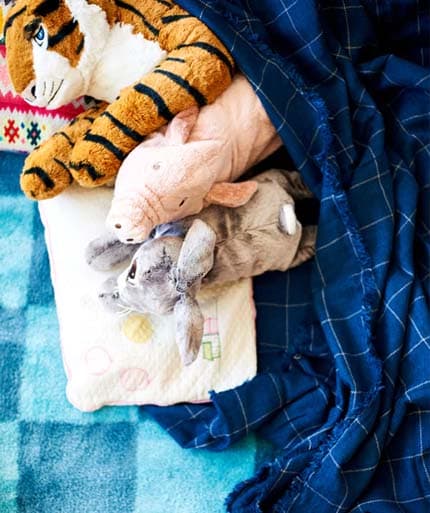 ikea-tiger-and-pig-soft-toys-for-kids-under-a-varkrage-throw-on-a-blue-stillsamt-rug
