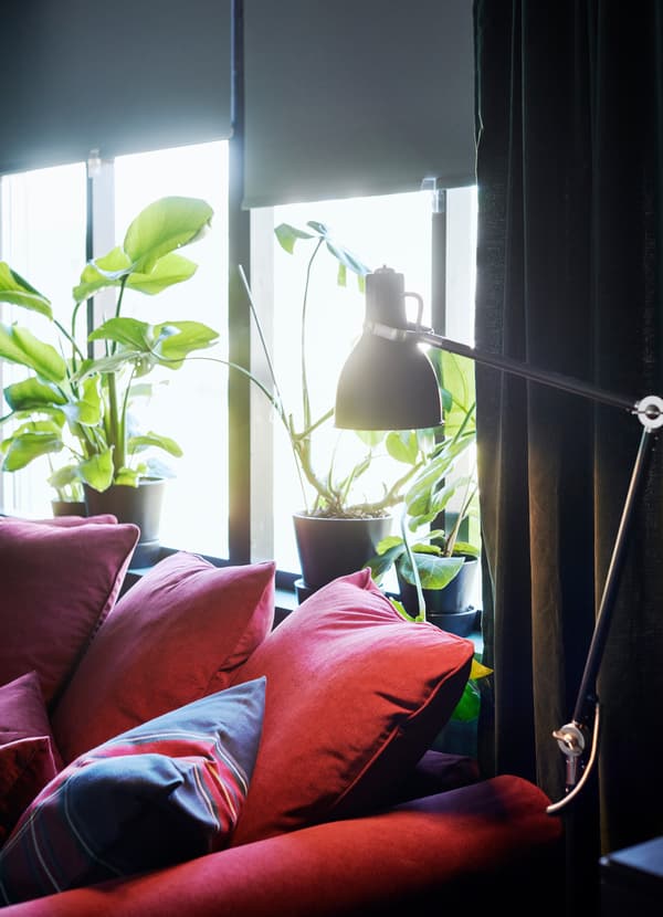 IKEA TUPPLUR black blackout blinds behind a GRÖNLID red sofa and SANELA cushions.