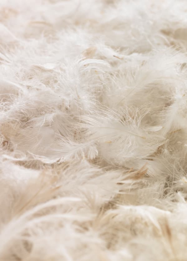 IKEA vraagt klanten oude dekbedden en hoofdkussens in televeren voor recycling