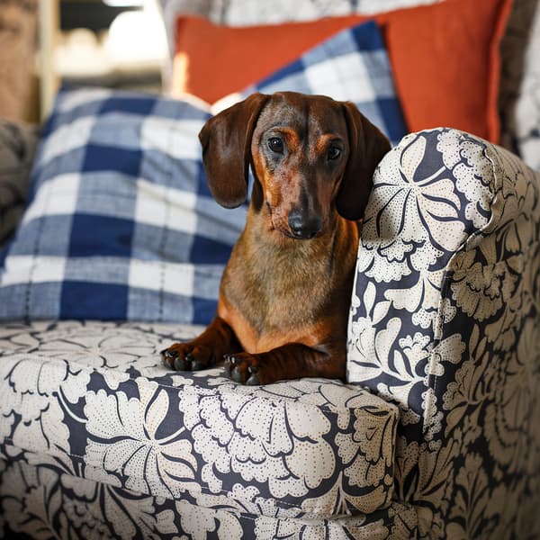 IKEA_SVAMPFLY_Funda de cojin 02