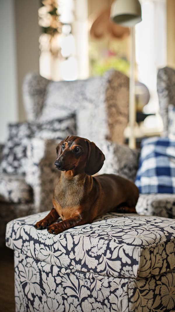 IKEA_SVAMPFLY_Funda de cojin 07