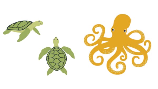 Illustration av två sköldpaddor och en bläckfisk.