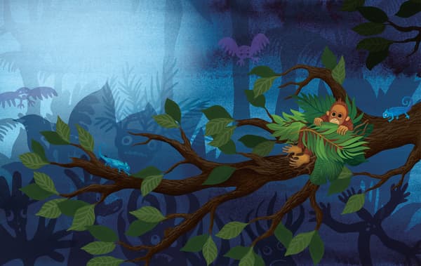 Illustration colorée d'un bébé orang-outan caché dans un arbre dans le noir.