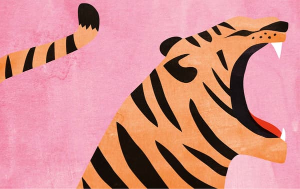 Illustration of a tiger on a pink background.