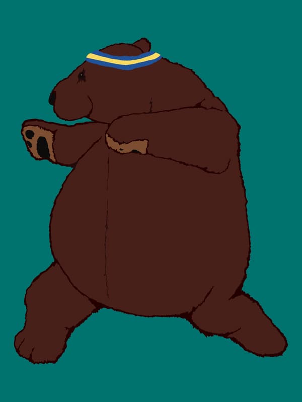 Illustration of DJUNGELSKOG brown bear doing exercises in front of a turquoise background.