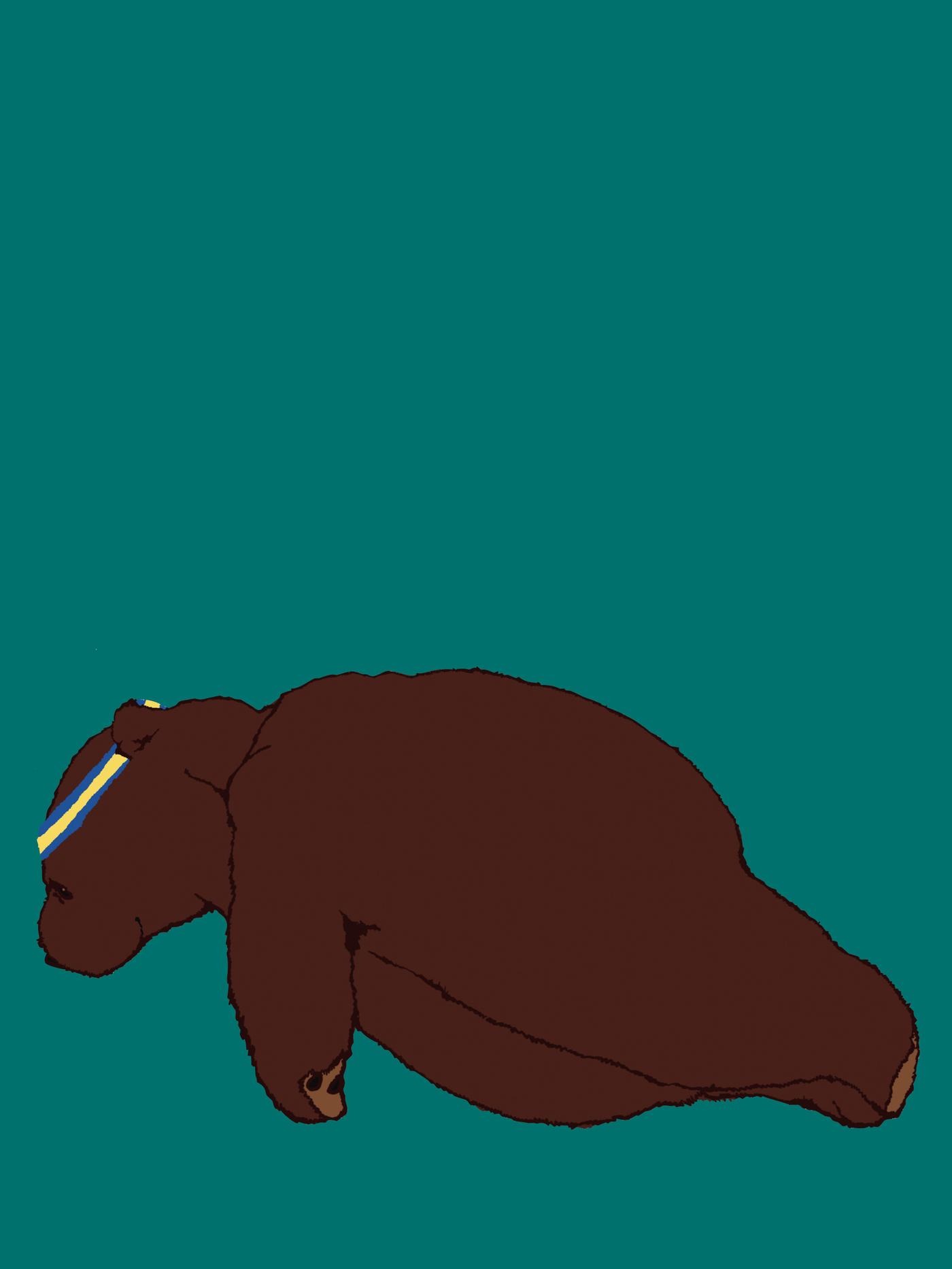 Illustration of DJUNGELSKOG brown bear doing push-ups on the floor in front of a turquoise background.