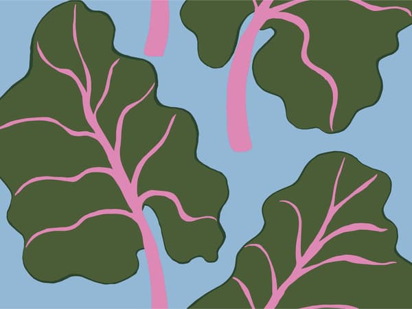 Illustrerad bild: gröna och rosa löv ligger ovanpå en ljusblå yta.