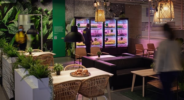 Image of a vertical garden in store