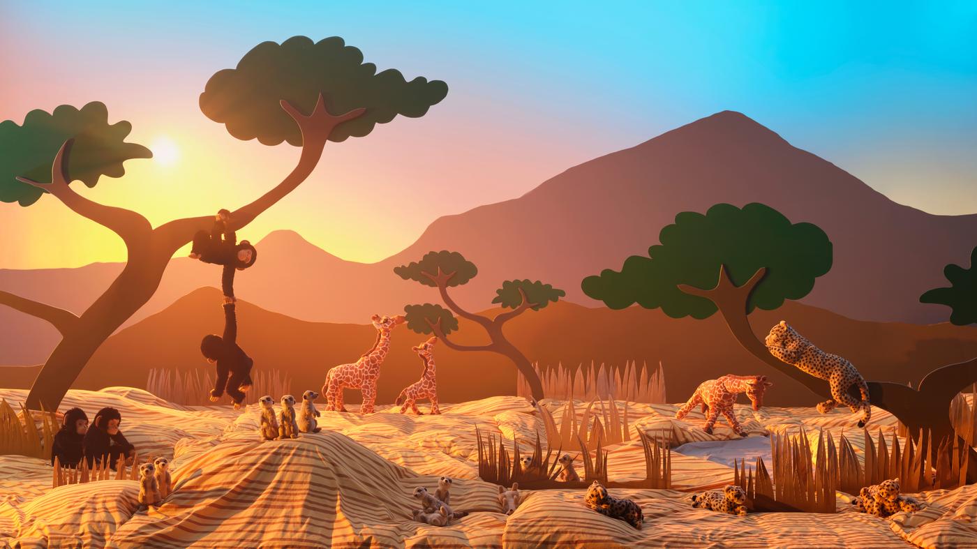 Image of animals from the savannah wildlife